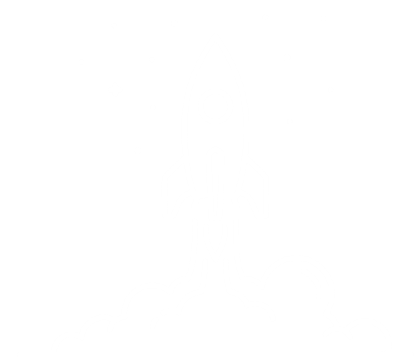 Illustration for AstroLinx services